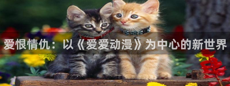 汗汗漫画精选:爱恨情仇:以《爱爱动漫》为中心的新世界配图
