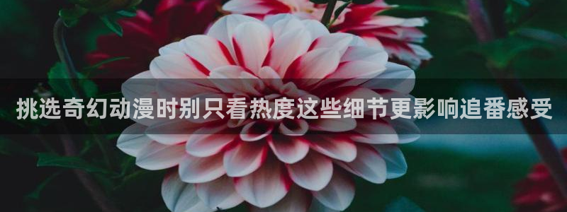 汗汗漫画在线哪里看：挑选奇幻动漫时别只看热度这些细节更影响追番感受配图