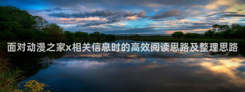 汗汗漫画哪个网站可以看:面对动漫之家x相关信息时的高效阅读思路及整理思路配图