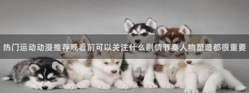 汗汗漫画热门排行榜：热门运动动漫推荐观看前可以关注什么剧情节奏人物塑造都很重要配图