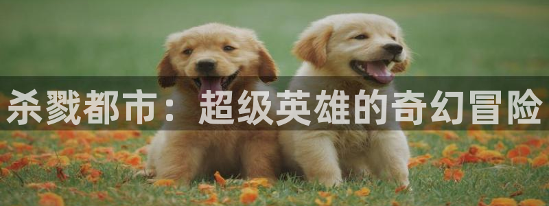 汗汗漫画阅读大全在线:杀戮都市:超级英雄的奇幻冒险配图