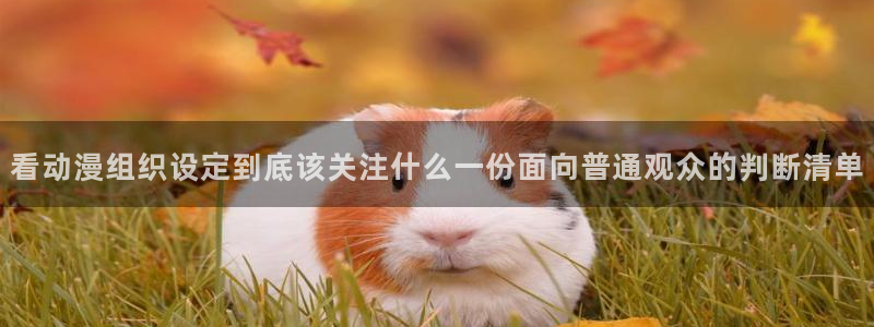 汗汗漫画大全免费在线阅读:看动漫组织设定到底该关注什么一份面向普通观众的判断清单配图